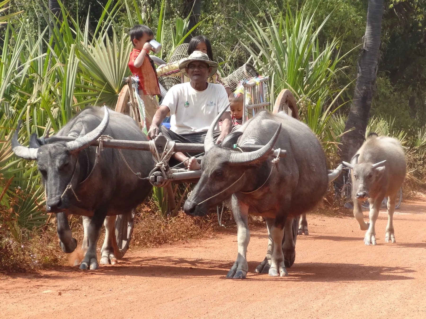 Scène de vie au Cambodge